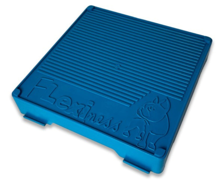 Flexiness Dog FlexBlox Modular Training Blocks - Supports Balance & Strength for Rehab, Fitness & Coordination Training (1 Block: 31 × 31 × 6cm)