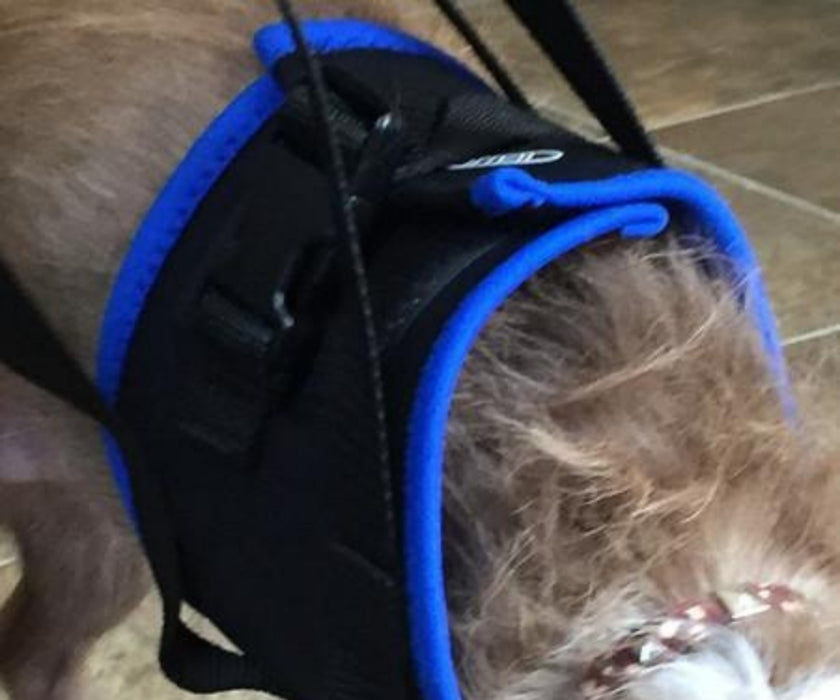 Walkabout Front Amputee Dog Harness