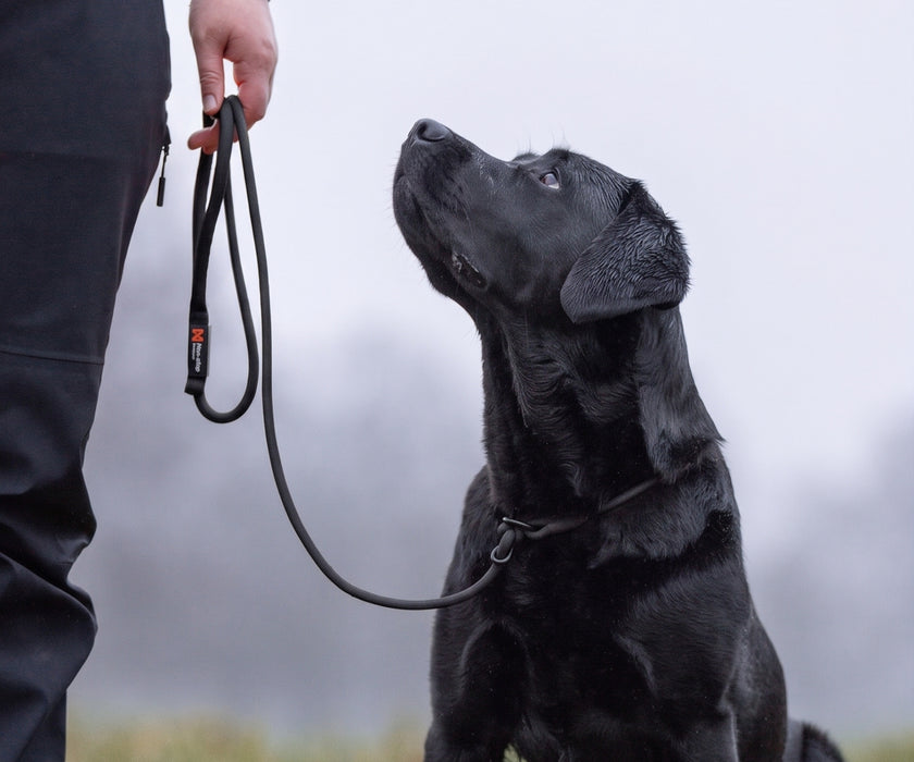 Non-Stop Dogwear Retriever Lead for Dogs - Adjustable Slip Lead & Collar for Training