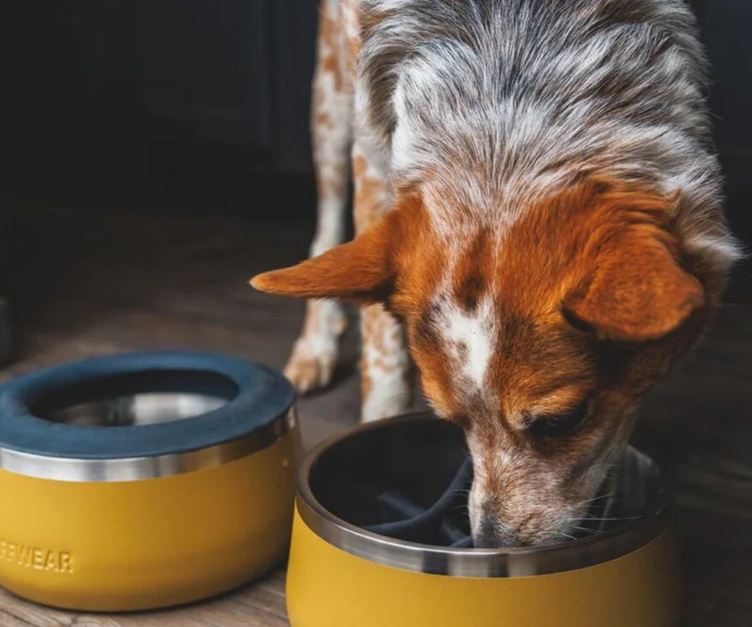 Ruffwear Basecamp Slow Feeder for Dogs - Food-Safe Silicone Slow Feeder Insert with Nature-Inspired Design for Mealtime Enrichment