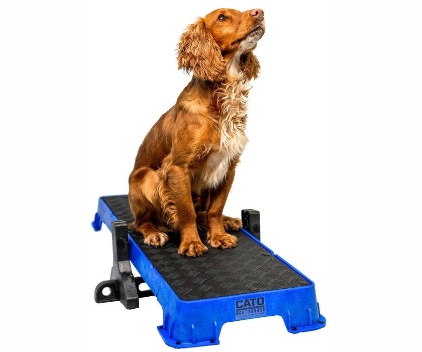 Cato Dog Outdoors XL Training Plank - Non-Slip Elevated Platform for Obedience Training, Balance Work & Confidence Building (31cm W x 92cm L x 9cm H)