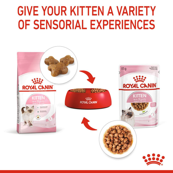 Royal Canin Kitten Food 400g