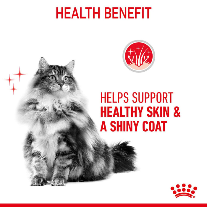 Royal Canin Hair & Skin Care Cat Food 400g