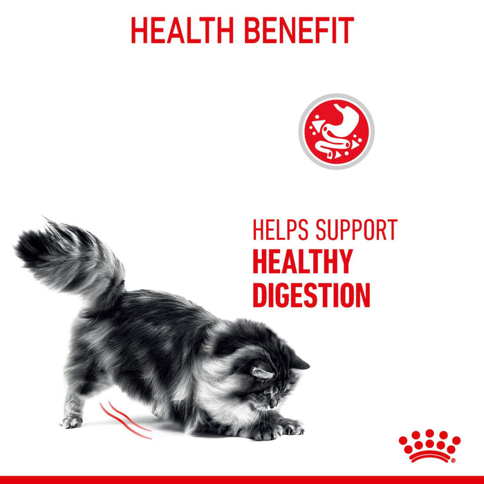 Royal Canin Digestive Care Cat Food 400g