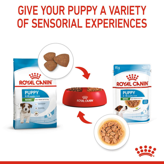 Royal Canin Mini Puppy Dog Food 800g