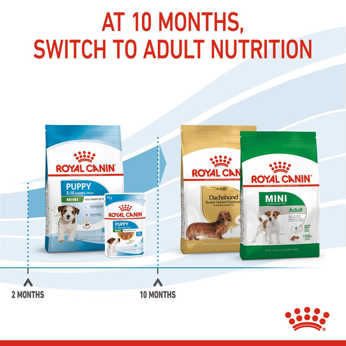 Royal Canin Mini Puppy Dog Food 800g
