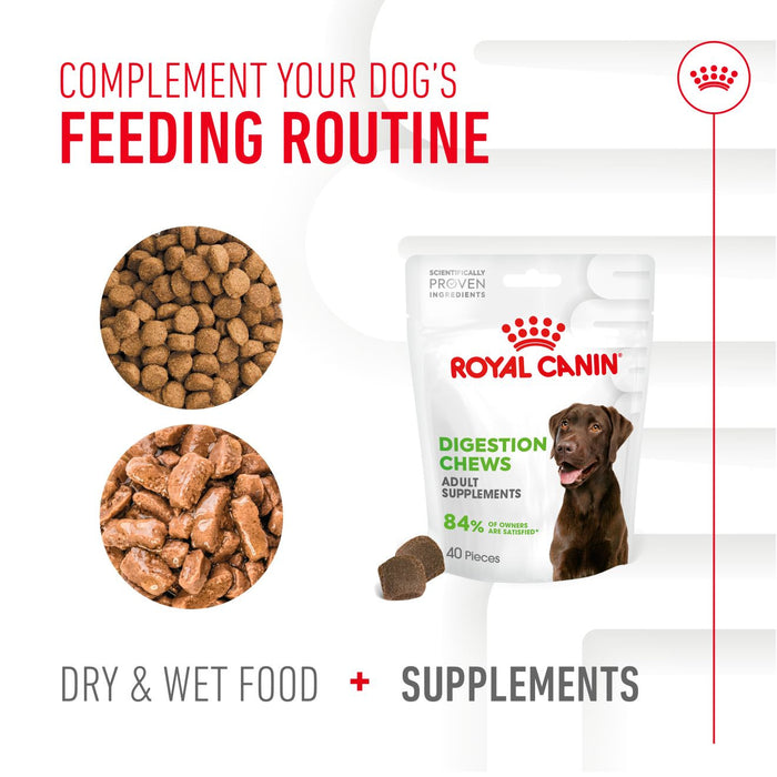 Royal Canin Adult Digestion Supplement Dog Chews 160g