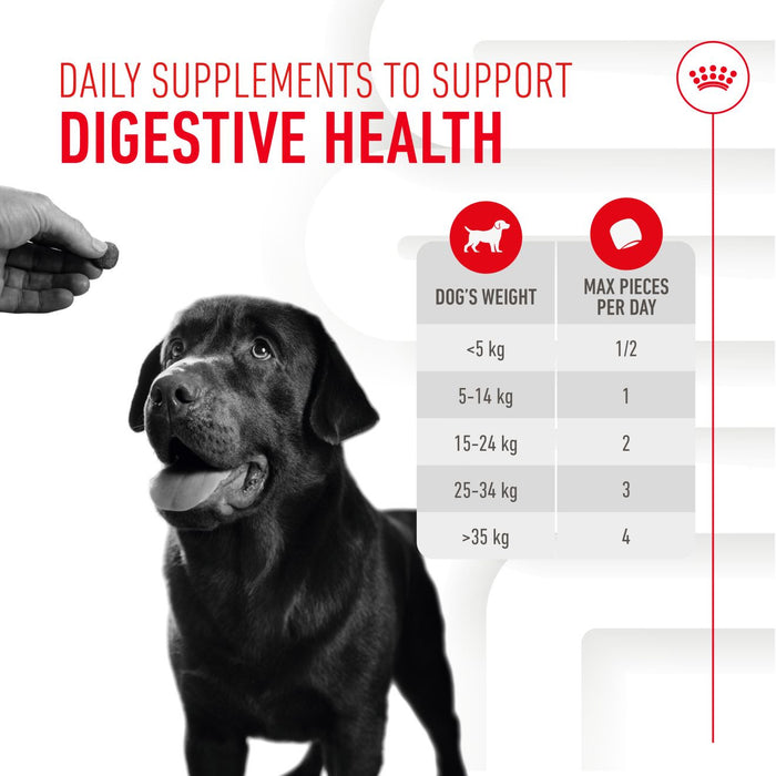 Royal Canin Adult Digestion Supplement Dog Chews 160g