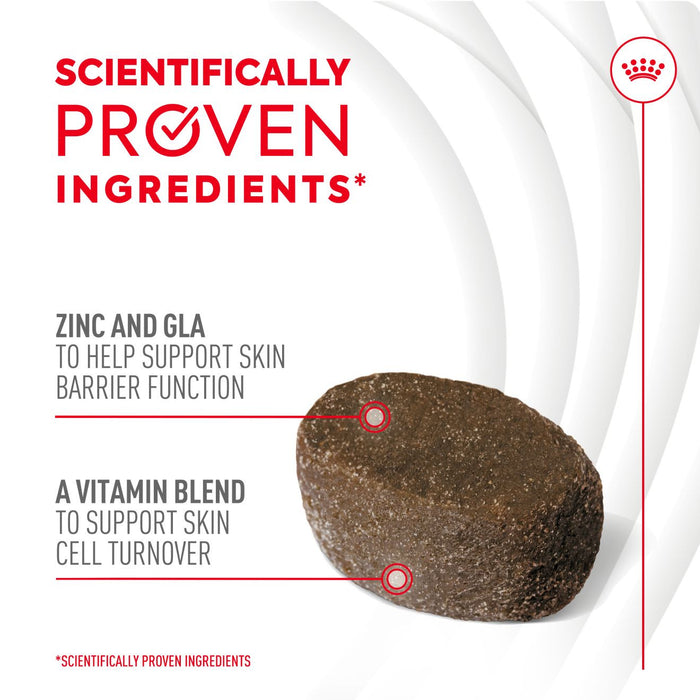 Royal Canin Adult Skin & Coat Supplement Dog Chews 240g