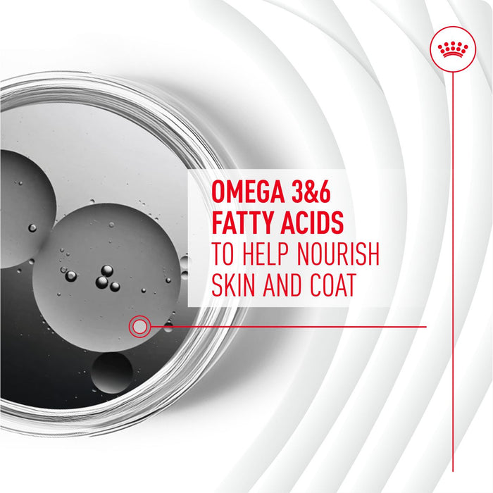 Royal Canin Adult Skin & Coat Supplement Dog Chews 240g