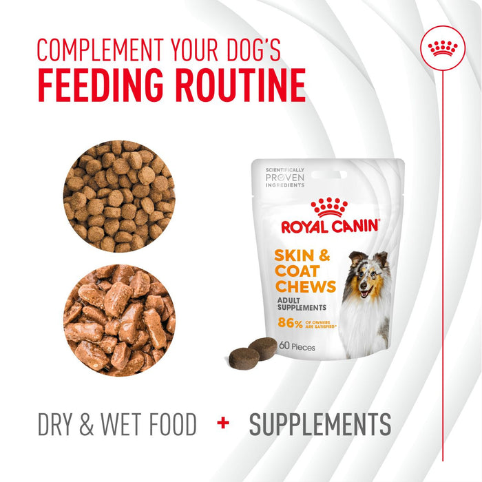 Royal Canin Adult Skin & Coat Supplement Dog Chews 240g