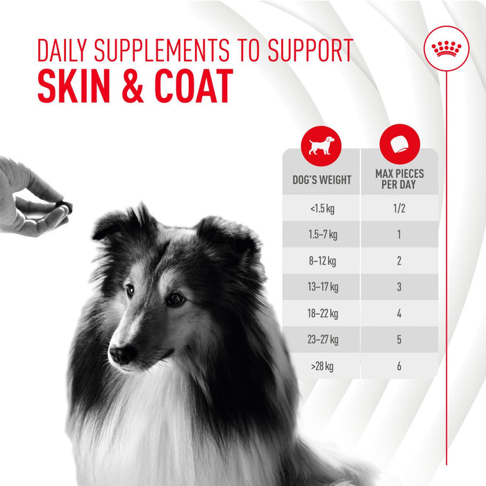 Royal Canin Adult Skin & Coat Supplement Dog Chews 240g