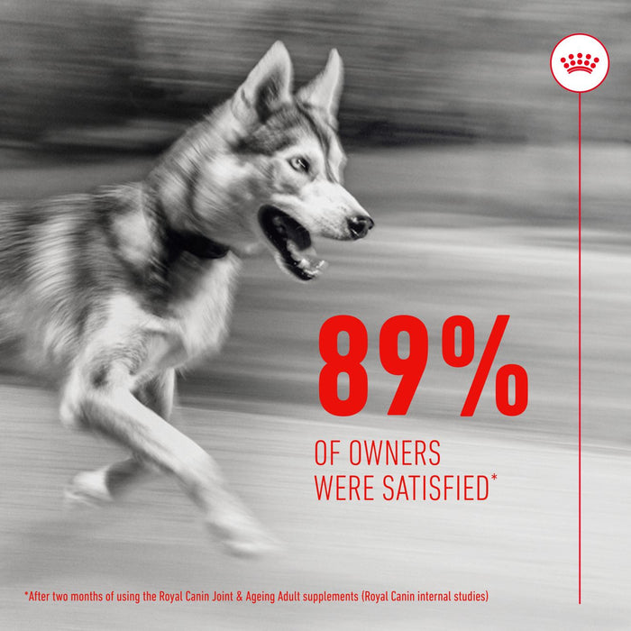 Royal Canin Adult Joint & Aging Supplement Dog Chews 240g