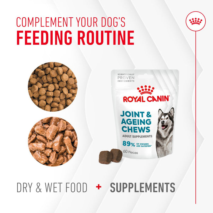 Royal Canin Adult Joint & Aging Supplement Dog Chews 240g