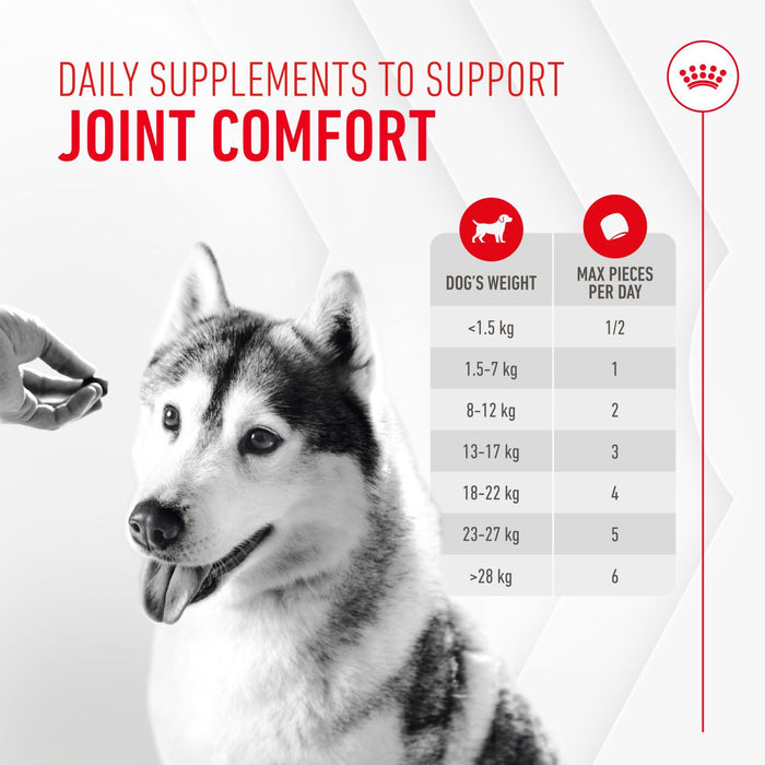 Royal Canin Adult Joint & Aging Supplement Dog Chews 240g