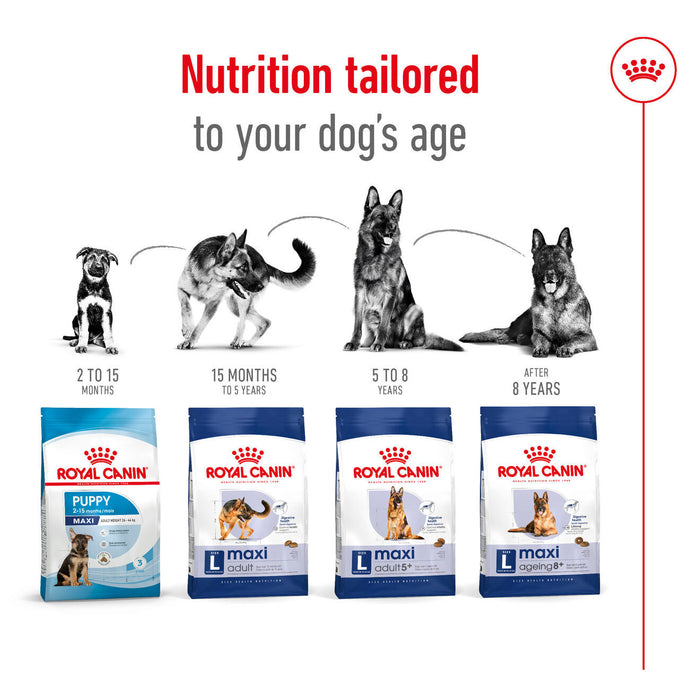 Royal Canin Maxi Adult Dog Food 3kg