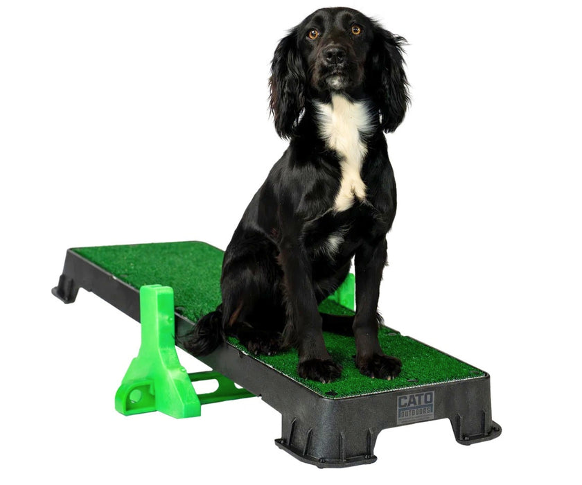 Cato Dog Outdoors XL Training Plank - Non-Slip Elevated Platform for Obedience Training, Balance Work & Confidence Building (31cm W x 92cm L x 9cm H)