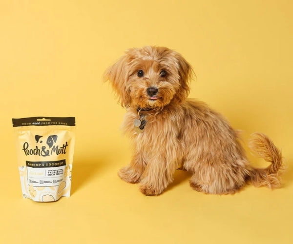 Pooch & Mutt Probiotic Treats for Dogs - Soothes Itchy Skin & Aids Glossy Coat 120g