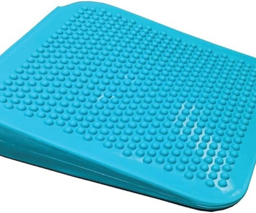Fitpaws Inflatable Ramp FitPaws Balance Ramp 14