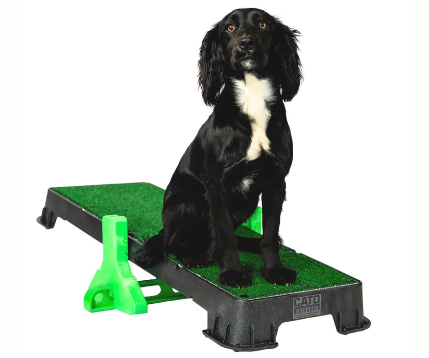 Cato Dog Outdoors XL Training Plank - Non-Slip Elevated Platform for Obedience Training, Balance Work & Confidence Building (31cm W x 92cm L x 9cm H)