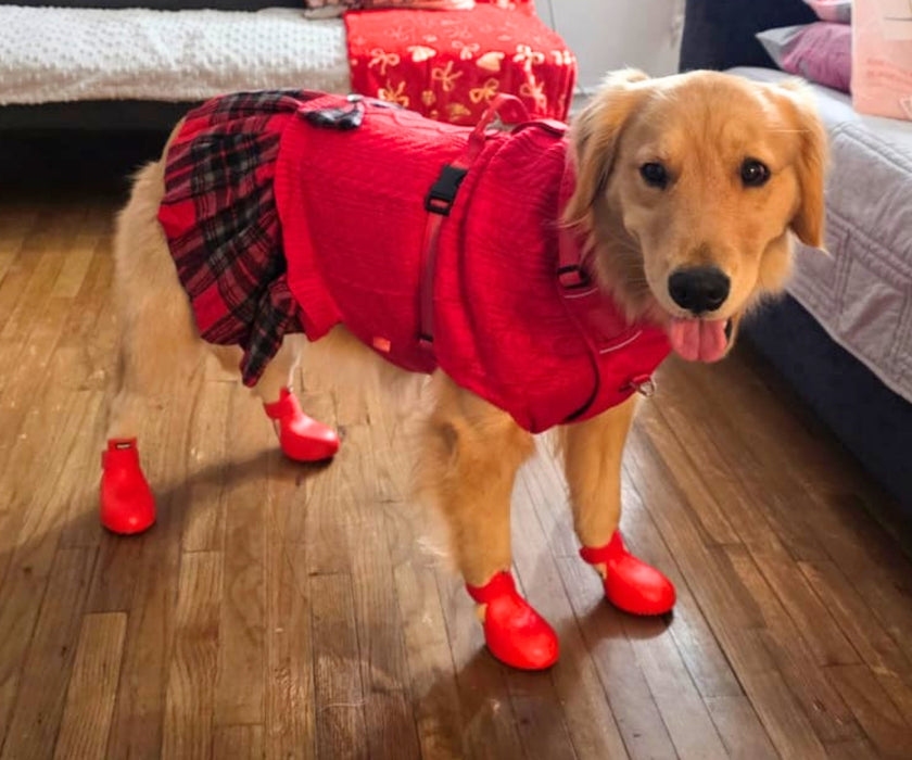 WagWear WagWellies Rubber Dog Boots (two boots)