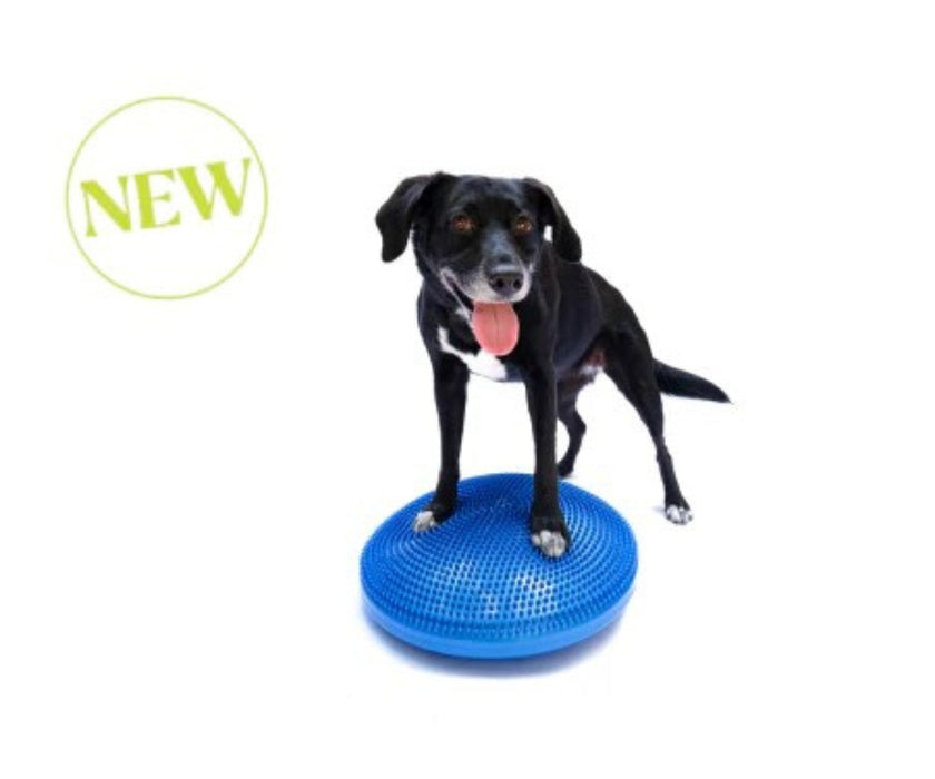 FitPaws Balance Disc 14", 18" or 22" - Blue or Razzleberry