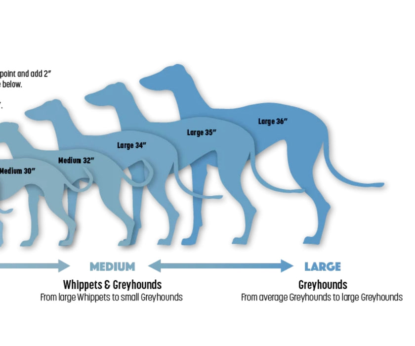 Hunnyboots Blue 'Nudleblu' Greyhound Winter Coat - Keep Your Greyhound Amazingly Warm