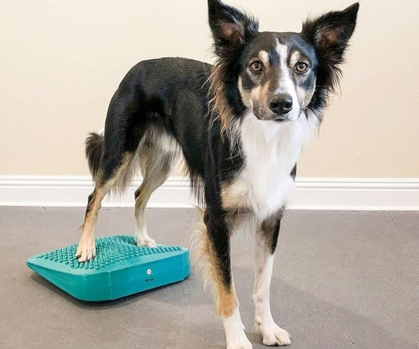 FitPaws Balance Ramp 14" - Aqua