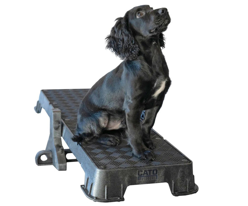 Cato Dog Outdoors XL Training Plank - Non-Slip Elevated Platform for Obedience Training, Balance Work & Confidence Building (31cm W x 92cm L x 9cm H)