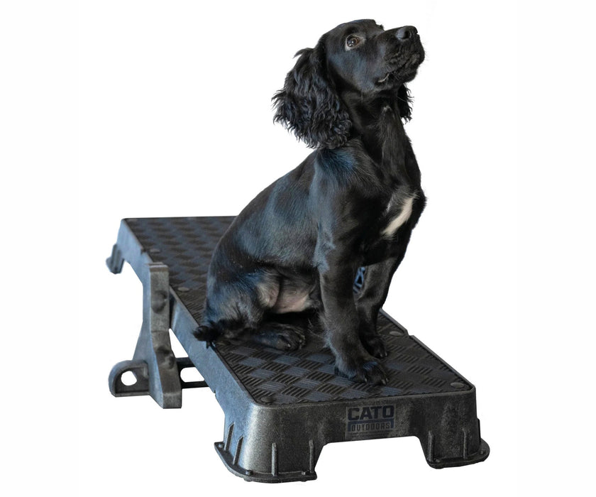 Cato Dog Outdoors XL Training Plank - Non-Slip Elevated Platform for Obedience Training, Balance Work & Confidence Building (31cm W x 92cm L x 9cm H)