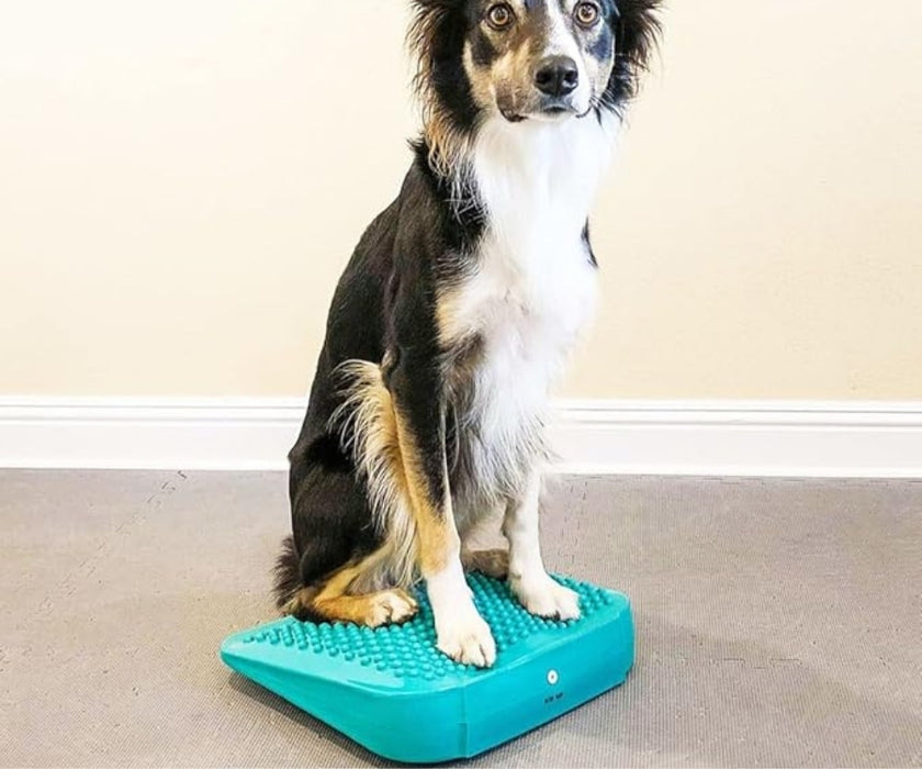 FitPaws Balance Ramp 14" - Aqua
