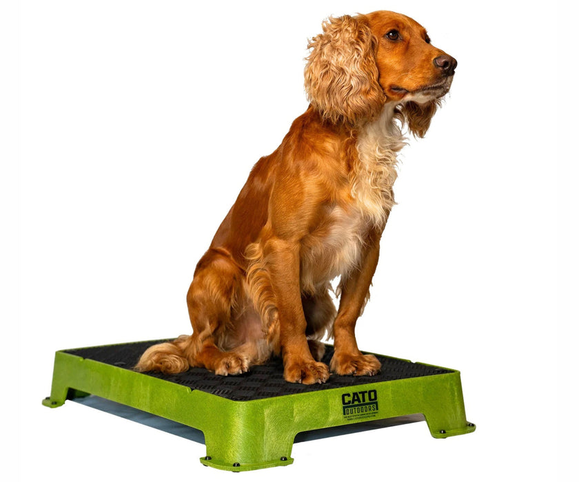 Cato Dog Outdoors Training Board - Durable, Non-Slip Training Platform for Stability & Confidence Building (41cm W x 61cm L x 9cm H)