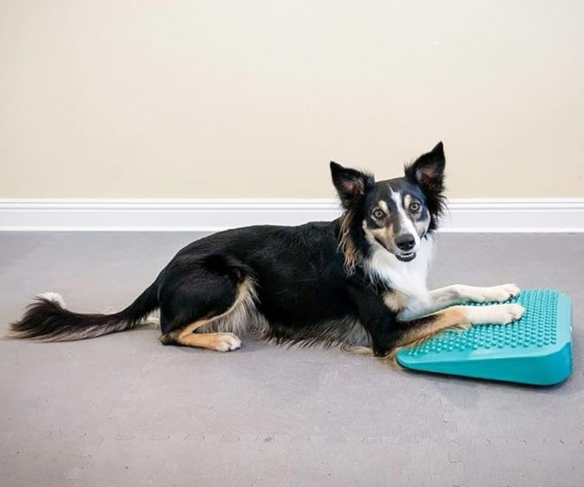 FitPaws Balance Ramp 14" - Aqua