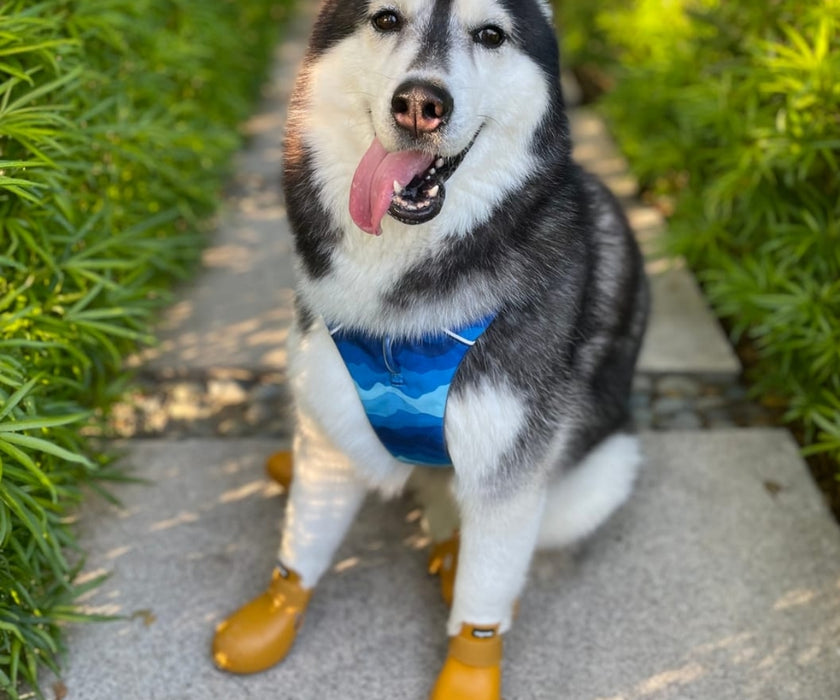WagWear WagWellies Rubber Dog Boots (two boots)