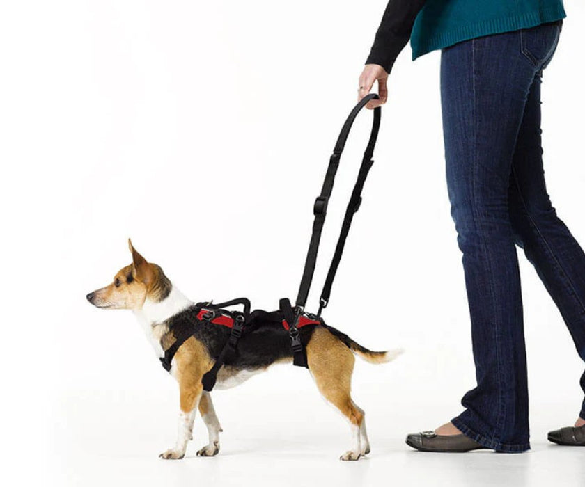 Help Em Up Handles - Add Handles to Your Dog Lifting Harness