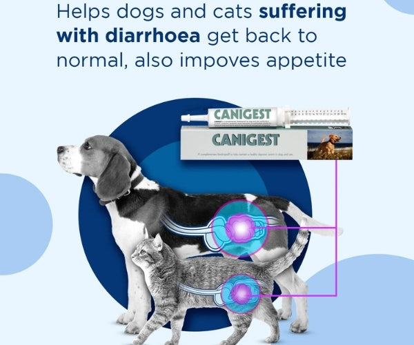 Canigest Digestive Support Paste for Dogs - Rebalances Good Bacteria In The Gut 15ml or 30ml