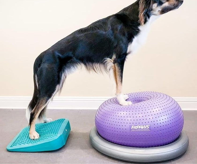 FitPaws Balance Ramp 14" - Aqua