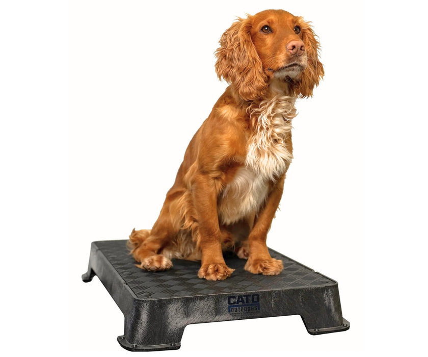 Cato Dog Outdoors Training Board - Durable, Non-Slip Training Platform for Stability & Confidence Building (41cm W x 61cm L x 9cm H)