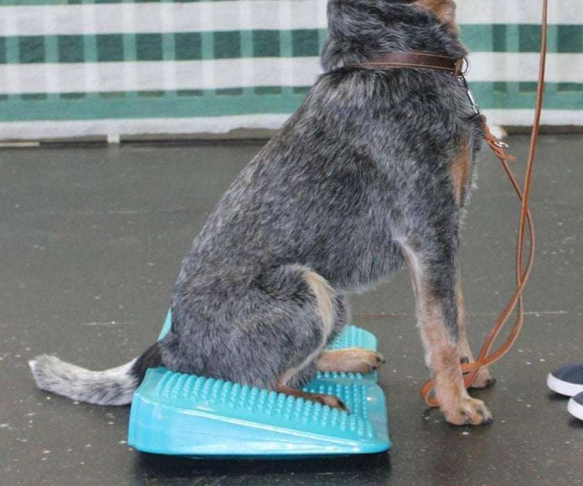 FitPaws Balance Ramp 14" - Aqua
