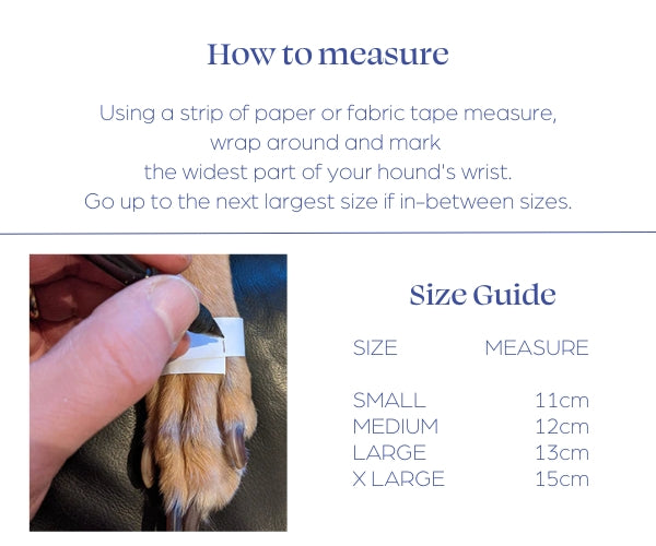 Hunnyboots Greyhound Indoor Slippers - Great Traction for Slippery Floors - Pack of 4