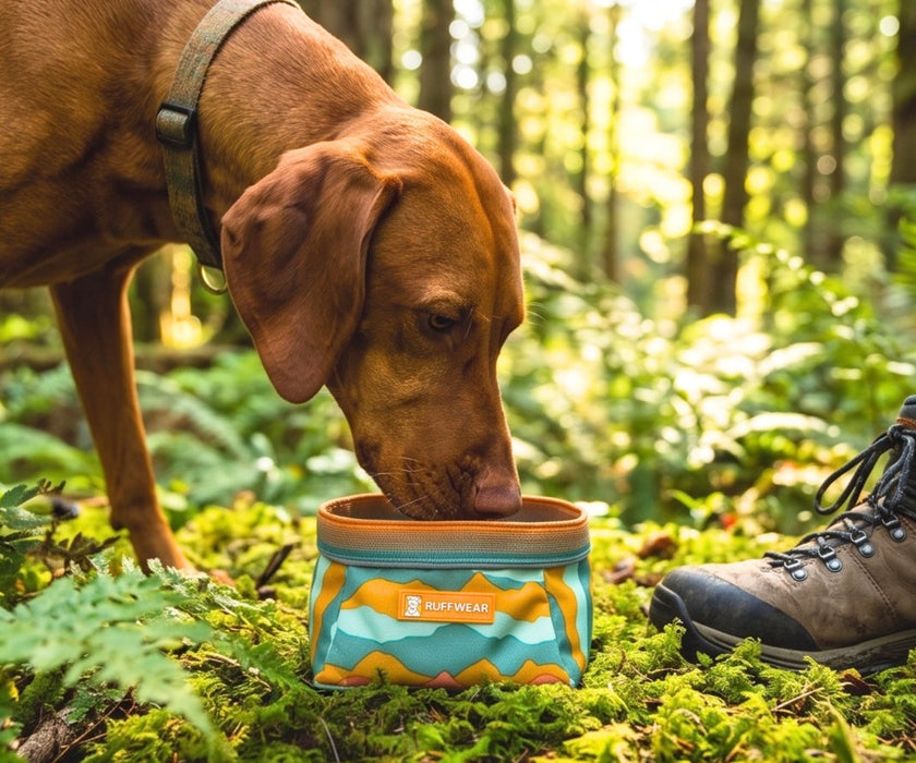 Ruffwear Quencher Packable Dog Bowl - Collapsible Waterproof Fabric Bowl for Food & Water On the Go