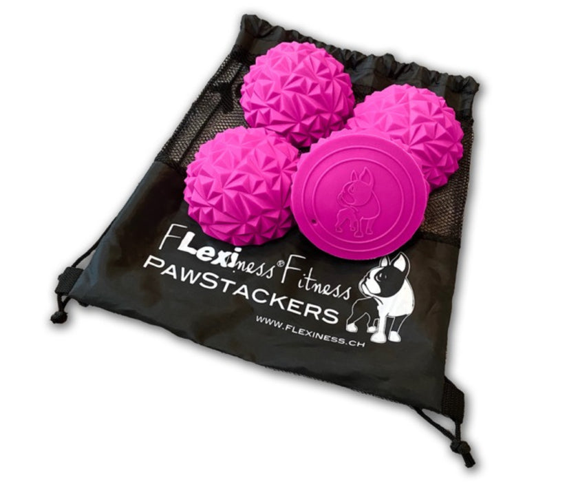 Flexiness Dog PawStackers - Non-Slip Diamond Grip Therapy Balls for Balance Training & Nerve Stimulation (pack of 4)