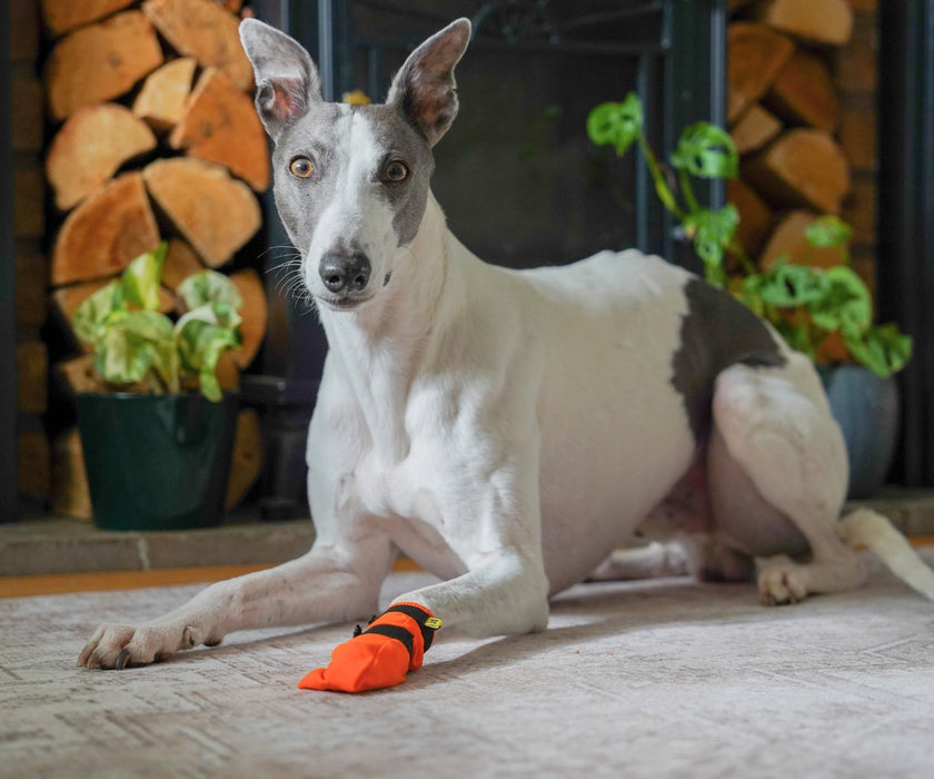Non-Stop Dogwear Contact High Dog Boots - Protects Paws & Legs From Snow, Ice & Extreme Temperatures (four boots)