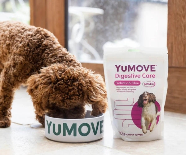 YuMOVE Digestive Care Probiotic & Fibre Powder for Dogs - Supports Anal Gland Health 180g