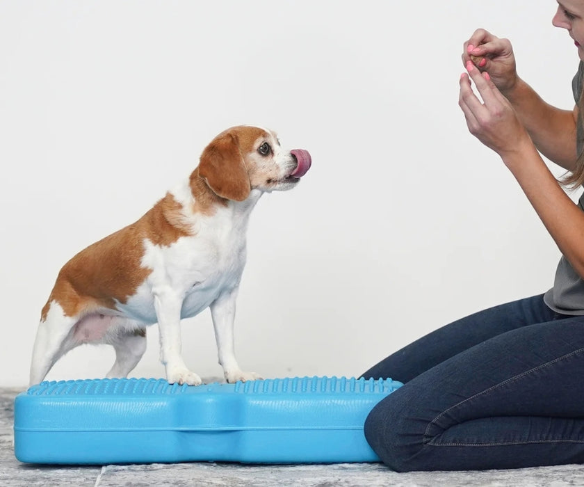 Blue-9 Dog Propel Air Platform - Inflatable Balance & Conditioning Platform for Strength, Stability & Rehabilitation Training