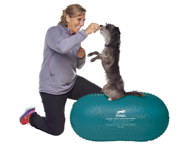 FitPaws Trax Peanut - 40cm (Yellow), 50cm (Red) or 60cm (Blue)