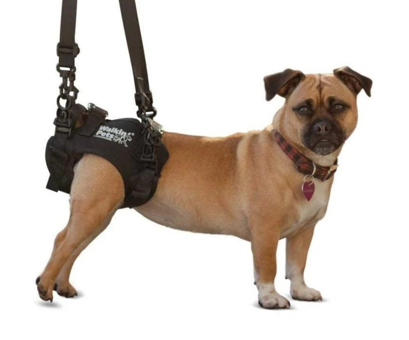 50% Off - Walkin Rear Lift Dog Harness - best for Walkin Wheelchair