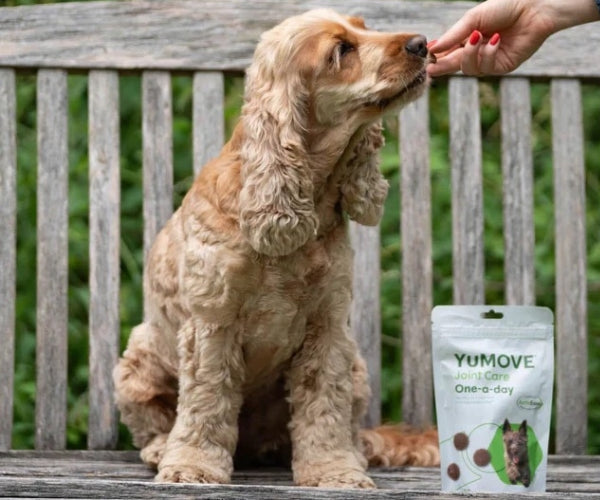 YuMOVE Joint Care One-a-Day Tasty Bites for Dogs - Simple Daily Joint Support 30 Bites