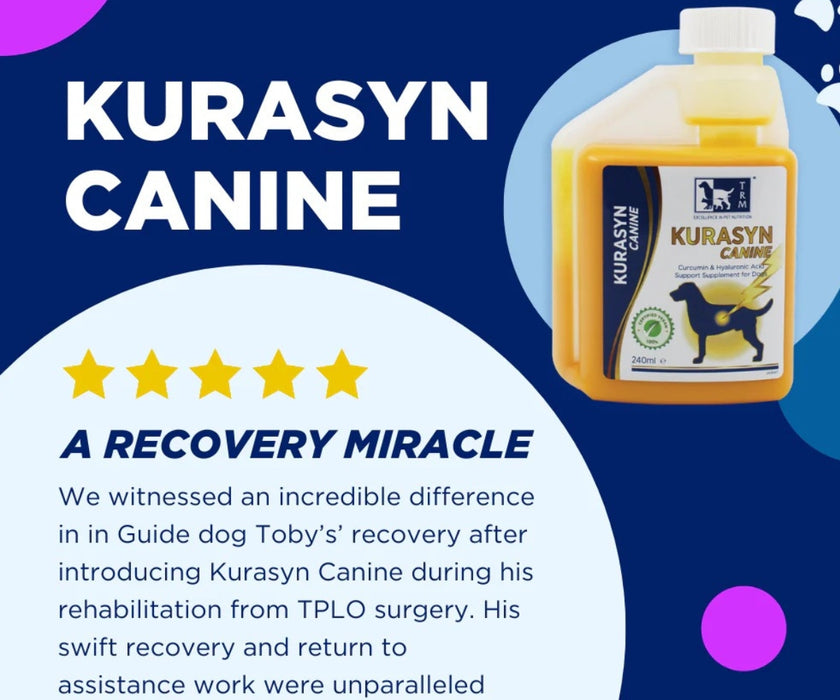 Turmeric and Hyaluronic Dog Liquid by TMR Stride - High Bioavailable Turmeric & Hyaluronic Acid for Joint Support, Mobility & Recovery 240ml