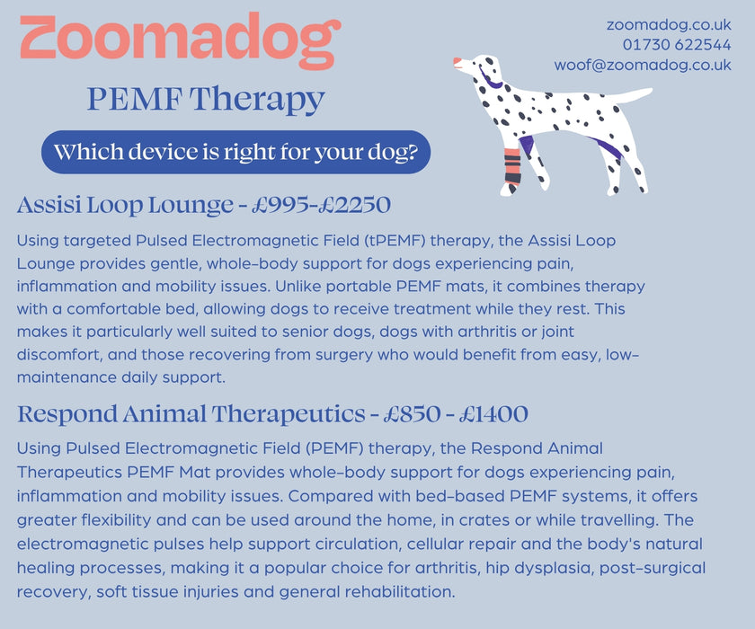 Pulse Electromagnetic Field (PEMF) Therapy for Dogs made by Respond Animal Therapeutics